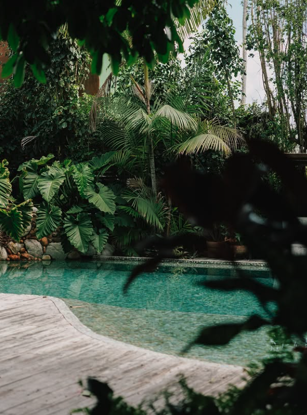 Pousada Capim Santo